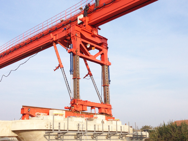 樱花草免费观看高清视频日本